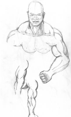 male-figure-muscles-2.jpg