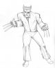 wolverine-as-patch-for-DSC.jpg