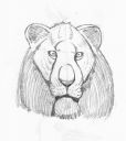 lion-head.jpg