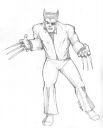 wolverine-as-patch-for-DSC.jpg